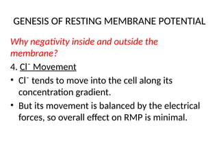GENESIS OF RESTING MEMBRANE POTENTIAL
Why negativity inside and outside the
membrane?
4. Cl⁻ Movement
• Cl⁻ tends to move into the cell along its
concentration gradient.
• But its movement is balanced by the electrical
forces, so overall effect on RMP is minimal.
 