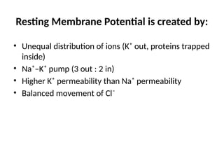 Resting Membrane Potential is created by:
• Unequal distribution of ions (K⁺ out, proteins trapped
inside)
• Na⁺–K⁺ pump (3 out : 2 in)
• Higher K⁺ permeability than Na⁺ permeability
• Balanced movement of Cl⁻
 