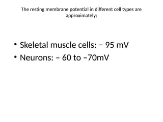 The resting membrane potential in different cell types are
approximately:
• Skeletal muscle cells: − 95 mV
• Neurons: – 60 to –70mV
 