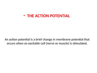 An action potential is a brief change in membrane potential that
occurs when an excitable cell (nerve or muscle) is stimulated.
• THE ACTION POTENTIAL
 