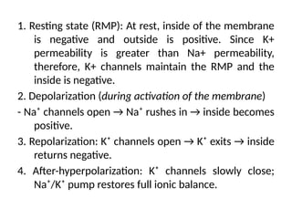 1. Resting state (RMP): At rest, inside of the membrane
is negative and outside is positive. Since K+
permeability is greater than Na+ permeability,
therefore, K+ channels maintain the RMP and the
inside is negative.
2. Depolarization (during activation of the membrane)
- Na⁺ channels open → Na⁺ rushes in → inside becomes
positive.
3. Repolarization: K⁺ channels open → K⁺ exits → inside
returns negative.
4. After-hyperpolarization: K⁺ channels slowly close;
Na⁺/K⁺ pump restores full ionic balance.
 