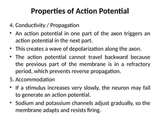 Properties of Action Potential
4. Conductivity / Propagation
• An action potential in one part of the axon triggers an
action potential in the next part.
• This creates a wave of depolarization along the axon.
• The action potential cannot travel backward because
the previous part of the membrane is in a refractory
period, which prevents reverse propagation.
5. Accommodation
• If a stimulus increases very slowly, the neuron may fail
to generate an action potential.
• Sodium and potassium channels adjust gradually, so the
membrane adapts and resists firing.
 