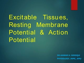 Excitable Tissues,
Resting Membrane
Potential & Action
Potential
DR ANWAR H. SIDDIQUI
PHYSIOLOGY, JNMC, AMU
 