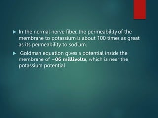  In the normal nerve fiber, the permeability of the
membrane to potassium is about 100 times as great
as its permeability to sodium.
 Goldman equation gives a potential inside the
membrane of −86 millivolts, which is near the
potassium potential
 