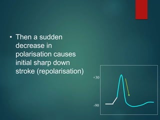 • Then a sudden
decrease in
polarisation causes
initial sharp down
stroke (repolarisation)
-90
+30
 