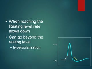 • When reaching the
Resting level rate
slows down
• Can go beyond the
resting level
– hyperpolarisation
-90
+30
 