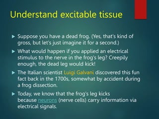 Understand excitable tissue
 Suppose you have a dead frog. (Yes, that's kind of
gross, but let's just imagine it for a second.)
 What would happen if you applied an electrical
stimulus to the nerve in the frog's leg? Creepily
enough, the dead leg would kick!
 The Italian scientist Luigi Galvani discovered this fun
fact back in the 1700s, somewhat by accident during
a frog dissection.
 Today, we know that the frog's leg kicks
because neurons (nerve cells) carry information via
electrical signals.
 