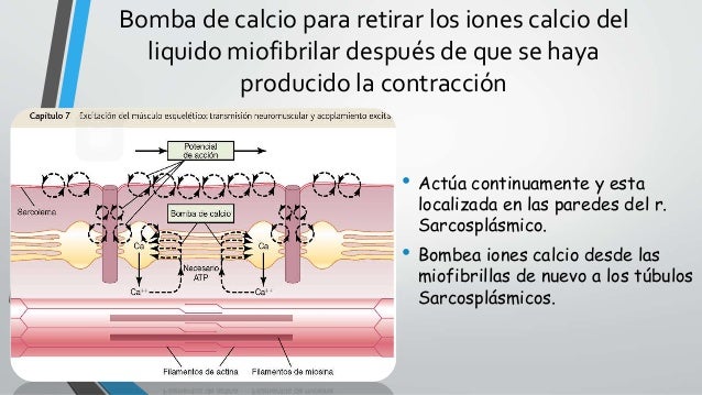 Imagen relacionada