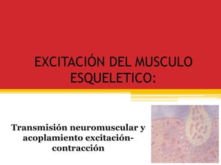 EXCITACIÓN DEL MUSCULO 
ESQUELETICO: 
Transmisión neuromuscular y 
acoplamiento excitación-contracción 
 