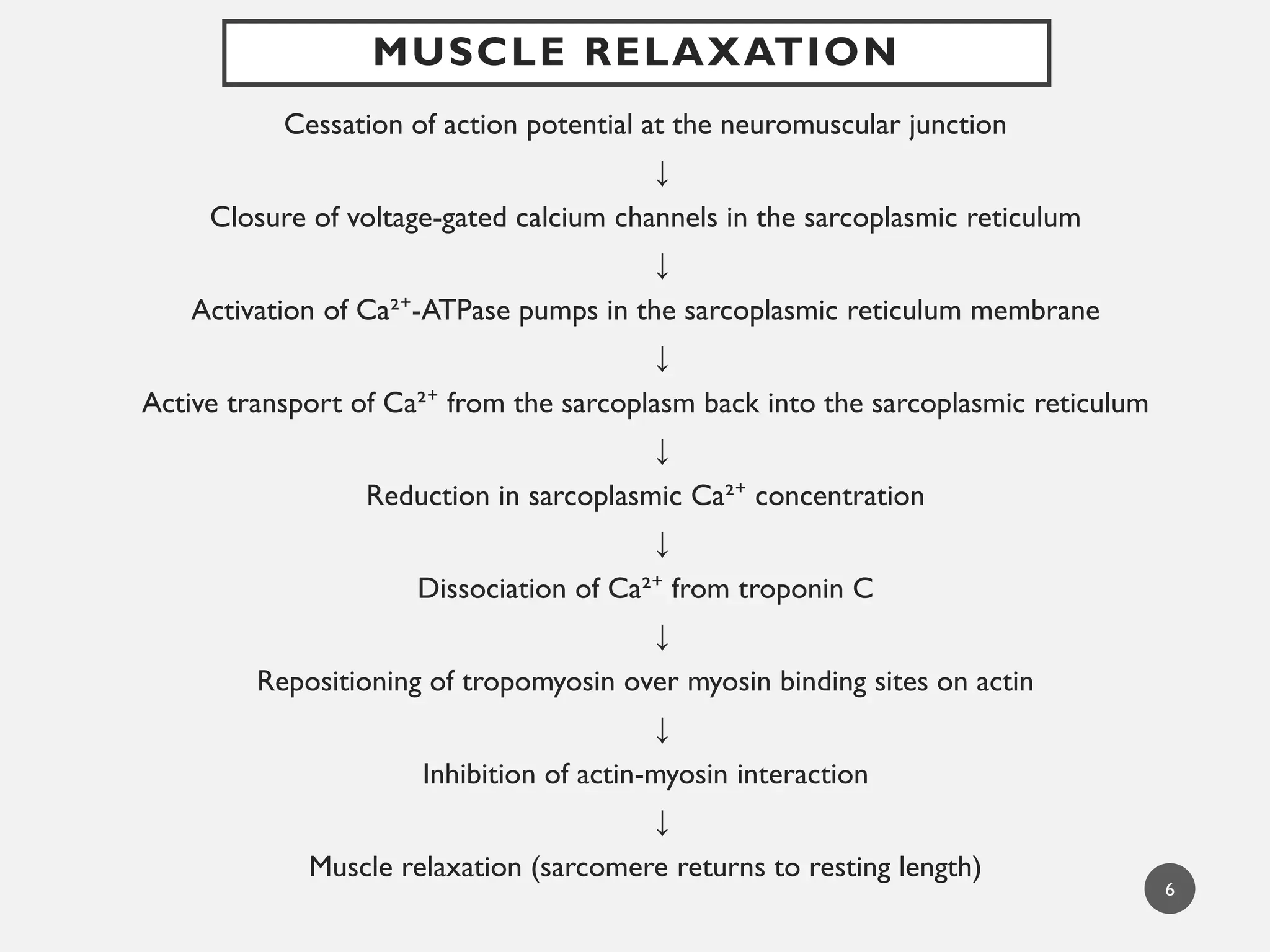 MUSCLE RELAXATION
Cessation of action potential at the neuromuscular junction
↓
Closure of voltage-gated calcium channels in the sarcoplasmic reticulum
↓
Activation of Ca²⁺-ATPase pumps in the sarcoplasmic reticulum membrane
↓
Active transport of Ca²⁺ from the sarcoplasm back into the sarcoplasmic reticulum
↓
Reduction in sarcoplasmic Ca²⁺ concentration
↓
Dissociation of Ca²⁺ from troponin C
↓
Repositioning of tropomyosin over myosin binding sites on actin
↓
Inhibition of actin-myosin interaction
↓
Muscle relaxation (sarcomere returns to resting length)
6
 