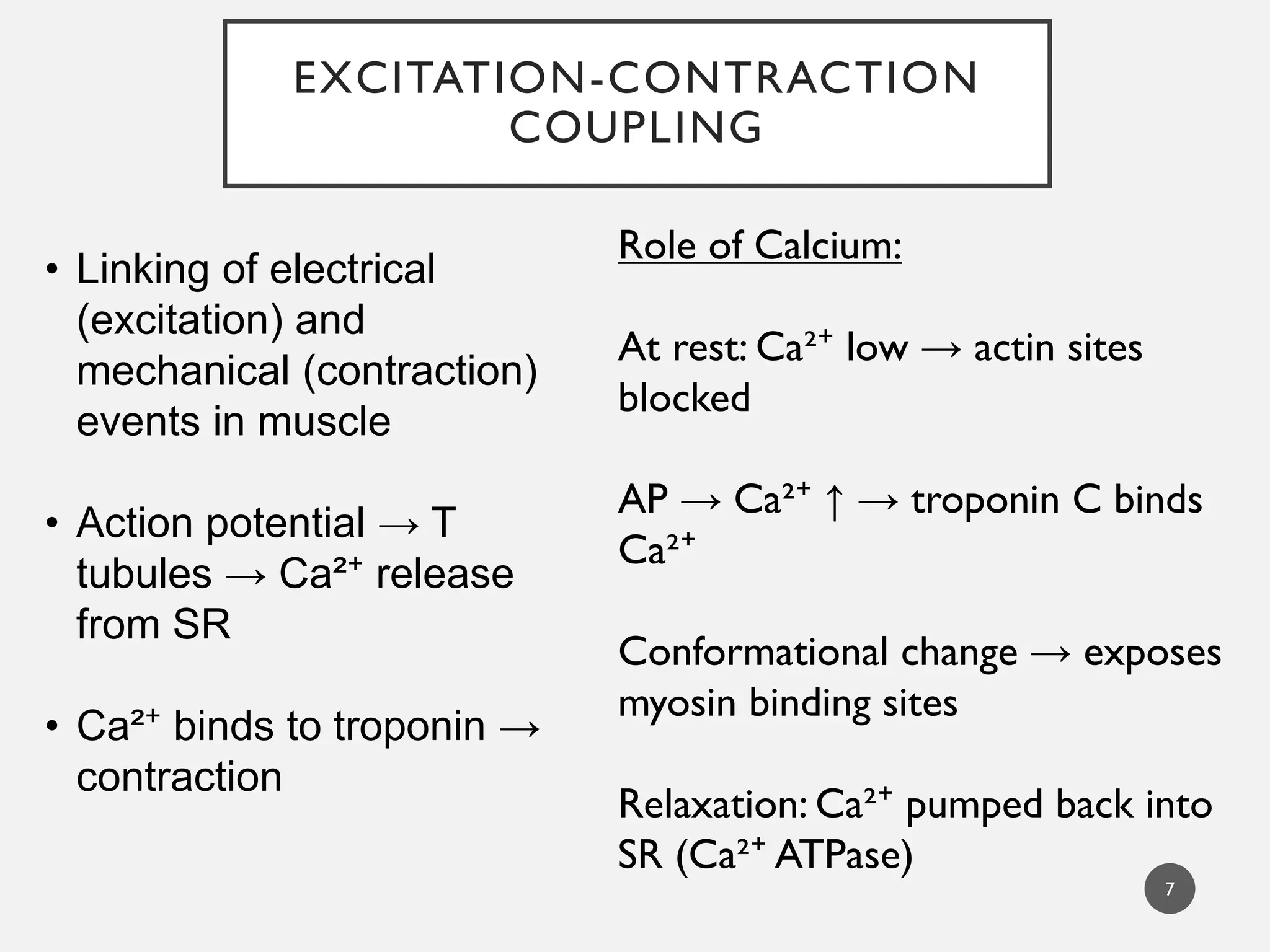 EXCITATION-CONTRACTION
COUPLING
7
• Linking of electrical
(excitation) and
mechanical (contraction)
events in muscle
• Action potential → T
tubules → Ca²⁺ release
from SR
• Ca²⁺ binds to troponin →
contraction
Role of Calcium:
At rest: Ca²⁺ low → actin sites
blocked
AP → Ca²⁺ ↑ → troponin C binds
Ca²⁺
Conformational change → exposes
myosin binding sites
Relaxation: Ca²⁺ pumped back into
SR (Ca²⁺ ATPase)
 