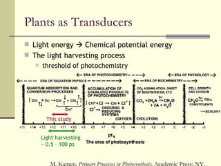 Excitation Energy Transfer In Photosynthetic Membranes | PPT