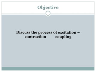 Objective
Discuss the process of excitation –
contraction coupling
 