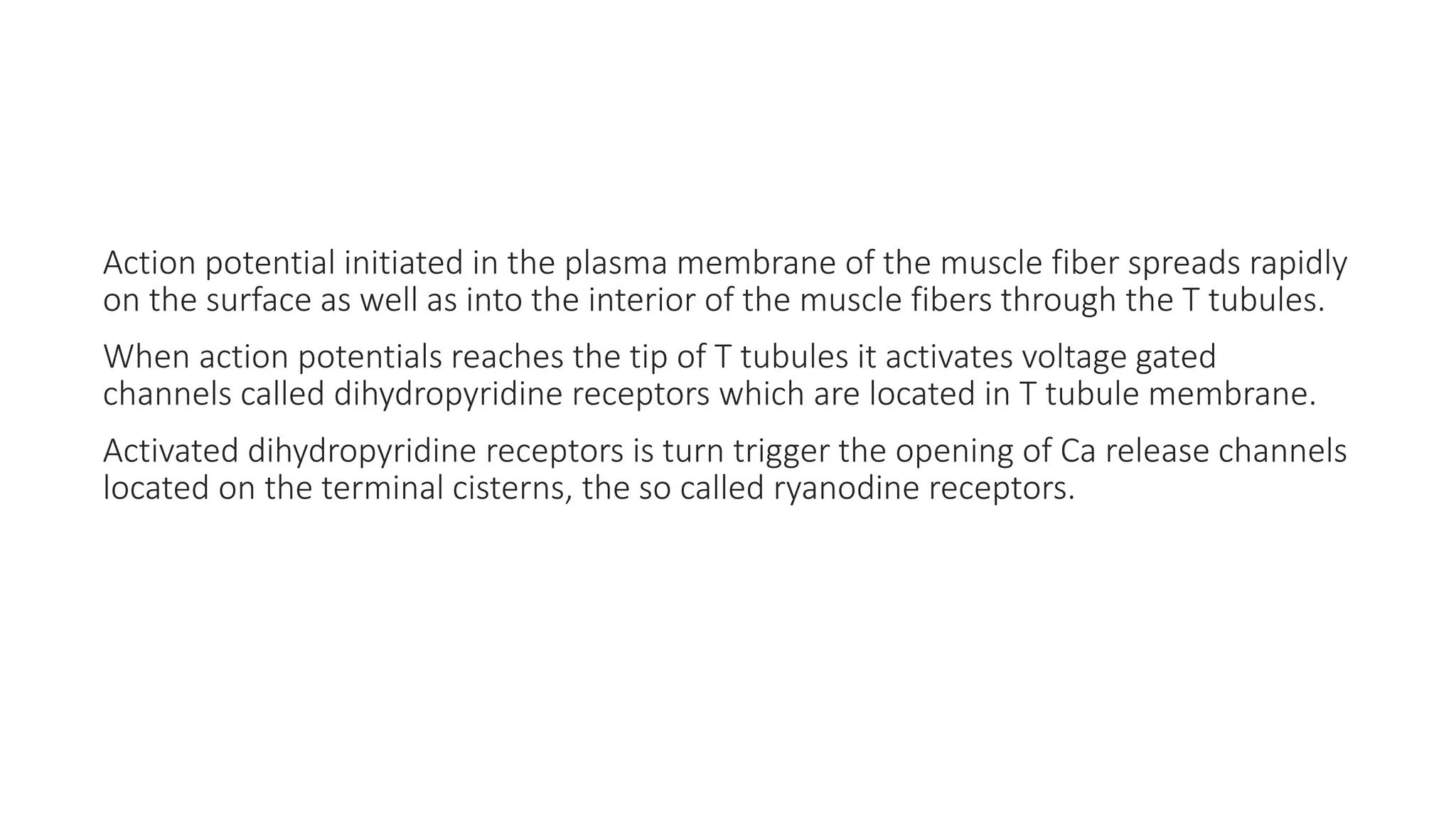 EXCITATION CONTRACTION COUPLING physiology PPT