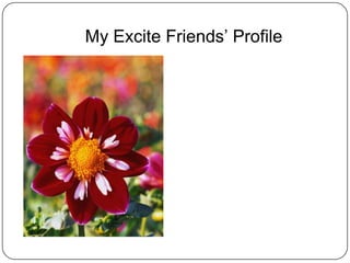 My Excite Friends’ Profile
 