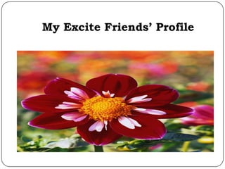 My Excite Friends’ Profile
 