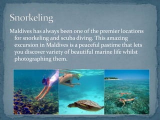 Maldives has always been one of the premier locations
for snorkeling and scuba diving. This amazing
excursion in Maldives is a peaceful pastime that lets
you discover variety of beautiful marine life whilst
photographing them.
 