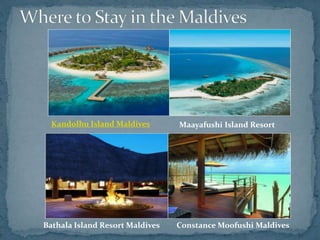 Kandolhu Island Maldives Maayafushi Island Resort
Bathala Island Resort Maldives Constance Moofushi Maldives
 