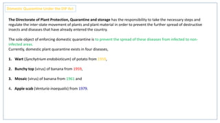 The Directorate of Plant Protection, Quarantine and storage has the responsibility to take the necessary steps and
regulate the inter-state movement of plants and plant material in order to prevent the further spread of destructive
insects and diseases that have already entered the country.
The sole object of enforcing domestic quarantine is to prevent the spread of these diseases from infected to non-
infected areas.
Currently, domestic plant quarantine exists in four diseases,
1. Wart (Synchytrium endobioticum) of potato from 1959,
2. Bunchy top (virus) of banana from 1959,
3. Mosaic (virus) of banana from 1961 and
4. Apple scab (Venturia inaequalis) from 1979.
Domestic Quarantine Under the DIP Act
 