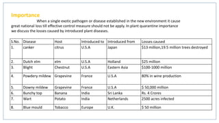 Importance
When a single exotic pathogen or disease established in the new environment it cause
great national loss till effective control measure should not be apply. In plant quarantine importance
we discuss the losses caused by introduced plant diseases.
S.No. Disease Host Introduced to Introduced from Losses caused
1. canker citrus U.S.A Japan $13 million,19.5 million trees destroyed
2. Dutch elm elm U.S.A Holland $25 million
3. Blight Chestnut U.S.A Eastern Asia $100-1000 million
4. Powdery mildew Grapevine France U.S.A 80% in wine production
5. Downy mildew Grapevine France U.S.A $ 50,000 million
6. Bunchy top Banana India Sri Lanka Rs. 4 Crores
7. Wart Potato India Netherlands 2500 acres infected
8. Blue mould Tobacco Europe U.K. $ 50 million
 