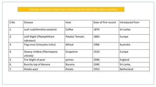S.No Disease Host Date of first record Introduced from
1. Leaf rust(Hemileia vastarix) Coffee 1879 Sri Lanka
2. Leaf blight (Phytophthora
infestans)
Potato/ Tomato 1883 Europe
3. Flag smut (Urocystis tritici) Wheat 1906 Australia
4. Downy mildew (Plasmopara
viticola)
Grapevine 1910 Europe
5. Fire blight of pear pomes 1940 England
6. Bunchy top of Banana Banana 1940 Sri Lanka
7. Potato wart Potato 1953 Netherland
Diseases believed to have been introduced into India from exotic countries
 