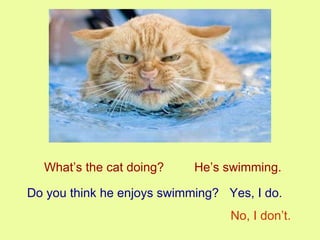 What’s the cat doing? He’s swimming. Do you think he enjoys swimming? Yes, I do. No, I don’t. 