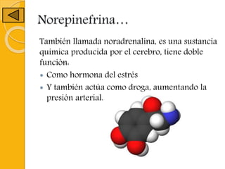 Norepinefrina…
También llamada noradrenalina, es una sustancia
química producida por el cerebro, tiene doble
función:
 Como hormona del estrés
 Y también actúa como droga, aumentando la
presión arterial.
 