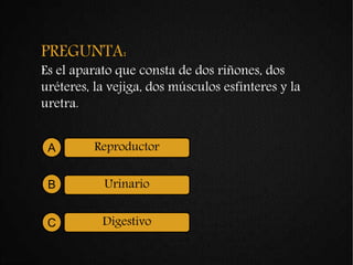 PREGUNTA:
Es el aparato que consta de dos riñones, dos
uréteres, la vejiga, dos músculos esfínteres y la
uretra.
ReproductorA
UrinarioB
DigestivoC
 