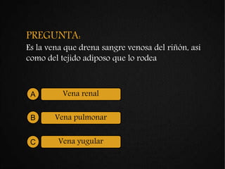 PREGUNTA:
Es la vena que drena sangre venosa del riñón, así
como del tejido adiposo que lo rodea
Vena renalA
Vena pulmonarB
Vena yugularC
 