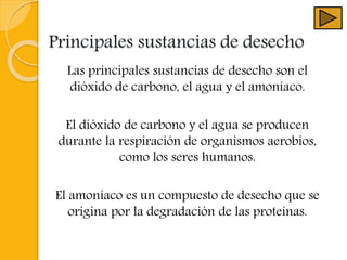 Principales sustancias de desecho
Las principales sustancias de desecho son el
dióxido de carbono, el agua y el amoníaco.
El dióxido de carbono y el agua se producen
durante la respiración de organismos aerobios,
como los seres humanos.
El amoníaco es un compuesto de desecho que se
origina por la degradación de las proteínas.
 