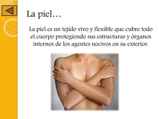 La piel…
La piel es un tejido vivo y flexible que cubre todo
el cuerpo protegiendo sus estructuras y órganos
internos de los agentes nocivos en su exterior.
 