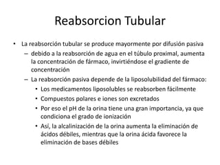 Secreción TubularLa secreción tubular puede ser activa o pasivaSecreción pasiva se realiza en la parte más proximal del túbulo renal, por un gradiente de concentraciónEl transporte activo, utiliza proteínas transportadoras, es diferente para aniones y cationes orgánicosAniones: proceso puede bloquearse mediante inhibidores metabólicos y también por elevadas concentraciones de anionescompuestos aniónicos compiten entre sí en el proceso de secreciónDe misma forma, los cationes orgánicos compiten entre sí su secreción también es bloqueada por inhibidores metabólicos (aunque para interferir es necesaria una mayor concentración de éstos)
