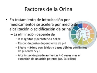 Factores de la OrinaSi orina tubular es Mas Alcalina Se excretan ácidos débiles rápidamente y en mayor magnitudPor ser mas ionizados disminuye resorción pasivaMas AcidaMenor eliminación de ácidos débiles
