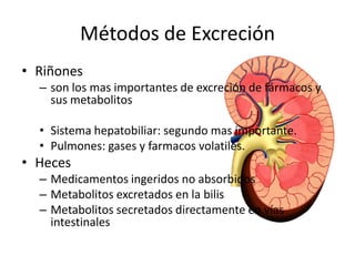 Métodos de ExcreciónRiñonesson los mas importantes de excreción de fármacos y sus metabolitosSistemahepatobiliar: segundomasimportante.