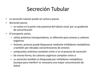 Filtración Glomerular Capilares del glomérulo renal poseen abundantes poros intracelulares Pasan solutos por difusión por presión intracapilar mayor que la presión del lumen tubular Muchas moléculas, excepto de gran tamaño y unidas a proteínas plasmáticas, atraviesan pared capilarMedicamentos tienen un peso molecular bajo, por lo que se filtrarán sin dificultadFiltración aumenta cuando disminuye la unión de fármacos a proteínas plasmáticas