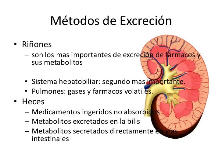 Excreción de fármacos 3