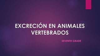 EXCRECIÓN EN ANIMALES
VERTEBRADOS
SEVENTH GRADE
 
