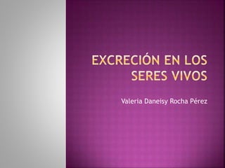 Valeria Daneisy Rocha Pérez
 