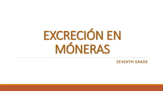 EXCRECIÓN EN
MÓNERAS
SEVENTH GRADE
 