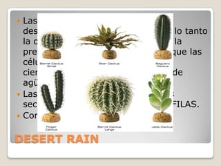  Las plantas que habitan en el
  desierto, absorben poco agua, por lo tanto
  la osmosis disminuye, al igual que la
  presión de turgencia, provocando que las
  células del estoma se
  cierren, almacenando ese poquito de
  agüita.
 Las plantas que habitan en lugares
  secos, reciben el nombre de XERÓFILAS.
 Como: nopales, cactus y yucas.


DESERT RAIN
 