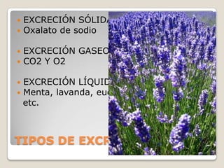    EXCRECIÓN SÓLIDA:
   Oxalato de sodio

   EXCRECIÓN GASEOSA:
   CO2 Y O2

   EXCRECIÓN LÍQUIDA:
   Menta, lavanda, eucalipto,
    etc.



TIPOS DE EXCRECIÓN
 