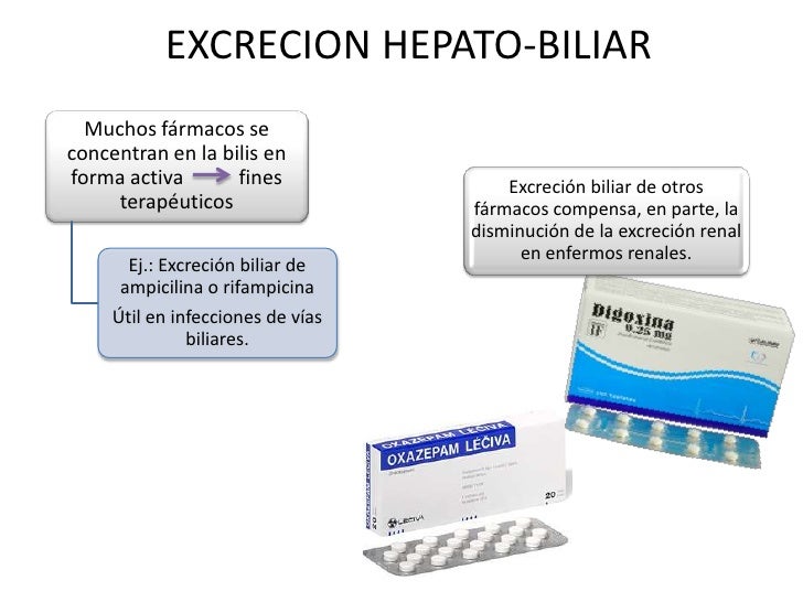 Cinco cuestiones sobre dieta baja en colesterol y trigliceridos