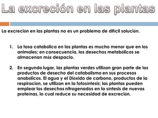 La excreción en las plantas no es un problema de difícil solución.


   1. La tasa catabólica en las plantas es mucho menor que en los
      animales; en consecuencia, los desechos metabólicos se
      almacenan más despacio.

   2. En segundo lugar, las plantas verdes utilizan gran parte de los
      productos de desecho del catabolismo en sus procesos
      anabólicos. El agua y el Dióxido de carbono, productos de la
      respiración, se utilizan en la fotosíntesis; las plantas pueden
      emplear los desechos nitrogenados en la síntesis de nuevas
      proteínas, lo cual reduce su necesidad de excreción.
 