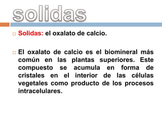    Solidas: el oxalato de calcio.

   El oxalato de calcio es el biomineral más
    común en las plantas superiores. Este
    compuesto se acumula en forma de
    cristales en el interior de las células
    vegetales como producto de los procesos
    intracelulares.
 