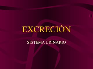 EXCRECIÓN SISTEMA URINARIO 