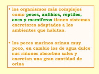 • los organismos más complejos
  como peces, anfibios, reptiles,
  aves y mamíferos tienen sistemas
  excretores adaptados a los
  ambientes que habitan.

• los peces marinos orinan muy
  poco, en cambio los de agua dulce
  sus riñones absorben sales y
  excretan una gran cantidad de
  orina
 