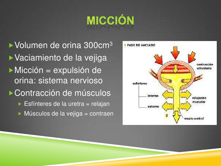 como activar el metabolismo simptoms