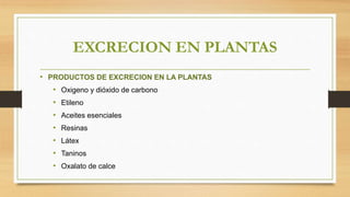 EXCRECION EN PLANTAS
• PRODUCTOS DE EXCRECION EN LA PLANTAS
• Oxigeno y dióxido de carbono
• Etileno
• Aceites esenciales
• Resinas
• Látex
• Taninos
• Oxalato de calce
 