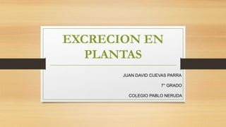 EXCRECION EN
PLANTAS
JUAN DAVID CUEVAS PARRA
7° GRADO
COLEGIO PABLO NERUDA
 