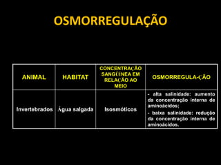 OSMORREGULAÇÃO


                             CONCENTRAÇÃO
                             SANGÜÍNEA EM
 ANIMAL        HABITAT        RELAÇÃO AO
                                             OSMORREGULA-ÇÃO
                                 MEIO
                                            - alta salinidade: aumento
                                            da concentração interna de
                                            aminoácidos;
Invertebrados Água salgada    Isosmóticos
                                            - baixa salinidade: redução
                                            da concentração interna de
                                            aminoácidos.
 